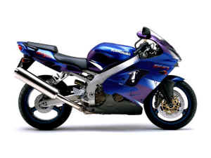 zx9r202.jpg (9094 octets)